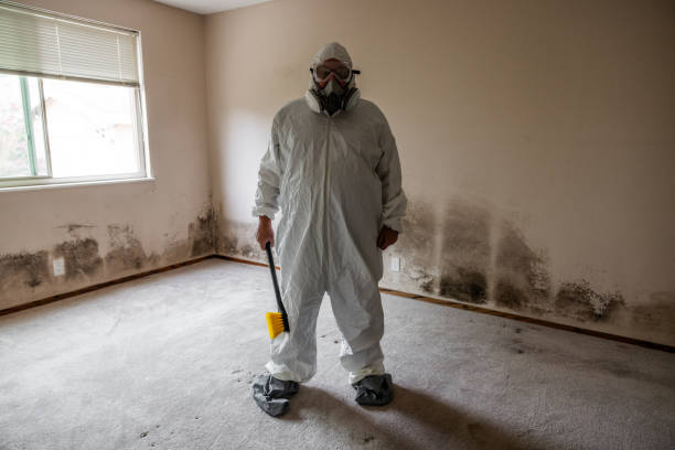 Best Certified Mold Removal  in Farmingdale, NJ